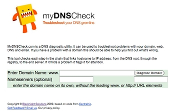 DNS Check Screenshot
