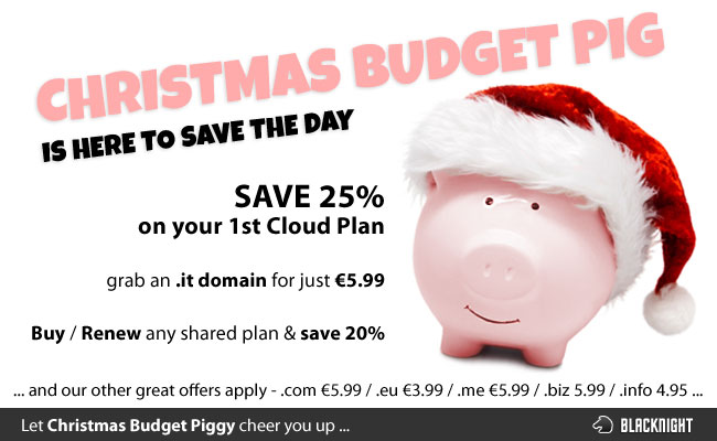 Christmas budget piggy