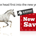 January Blues Getting You Down? Save Big In Our Mega Hosting and Domain Name Sale! Save Money on Hosting and domains
