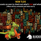The New TLDs are here – almost! newtlds