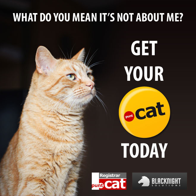 Save big on .cat domain registration