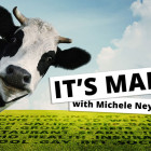 Marketing New Domains Without Breaking the Bank ItsMad660
