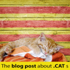 The blog post about .cat s About Cats