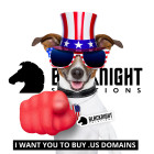 Thinking of the USA? Why Not Register a .US Domain? BuyUSDomains