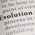 IE Domain Policy Evolving With Planned Release of Two Letter Domains Fake Dictionary Dictionary definition of the word Evolution.