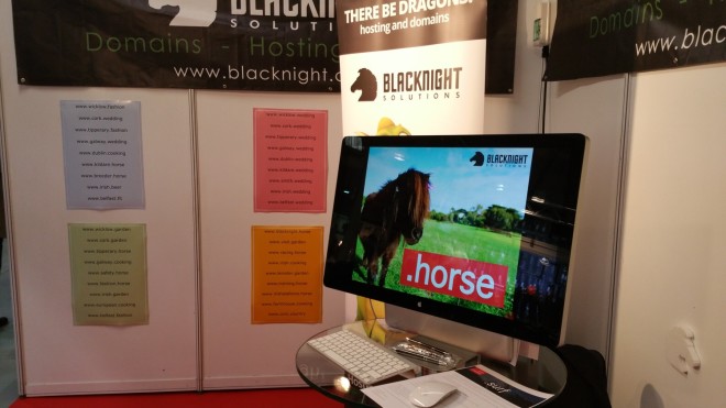 blacknight-horse-dublin-rds-2015