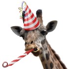 Save BIG On Domain Registration With Our Current Promotions Funny giraffe party animal making a silly face and blowing a noisemaker