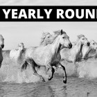 2015 A Quick Review Roundup