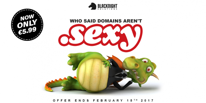 Valentine's Day Special Offer on dot SEXY domain names
