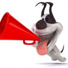 Domain Discounts to Shout About dog with megaphone shouting about domain discounts