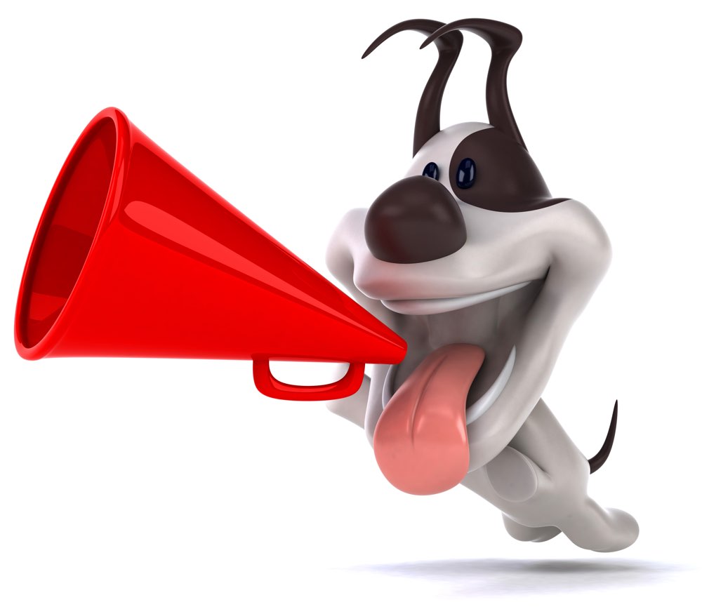 dog with megaphone shouting about domain discounts