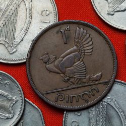 Irish Domain Registrations Show Strong Growth Amid Global Slowdown Coins of Ireland. Hen with chickens depicted in the Irish one penny coin (1946).