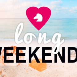 Enjoy the August Holiday Weekend! Here are Our Opening Hours bank-holiday