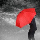 PSA: Corporate Restructuring? Ceased Trading? Don’t Lose Your Domains! Businessman with red umbrella protecting himself from the storm concept for protection from recession or economic depression etc