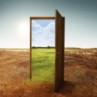 Is Simplifying IE Domain Rules a Bad Thing? Open wooden door to the new world with green environment. Climate change concept.