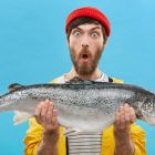 When Choosing A Domain Name, Readability Matters More Than Size Indoor shot of astonished bearded fisherman dressed casually holding huge fish looking at camera with bugged eyes and jaw dropped being shocked to catch such big trout or salmon. Surprisment