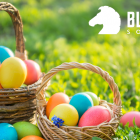 Easter Opening Hours at Blacknight easter2018-940