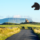 Our St Patrick’s Day Bank Holiday Arrangements patricksday2018