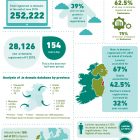 IE Domain Registrations Grow Significantly Now Rules Are Simpler IEDR data for first half of 2018