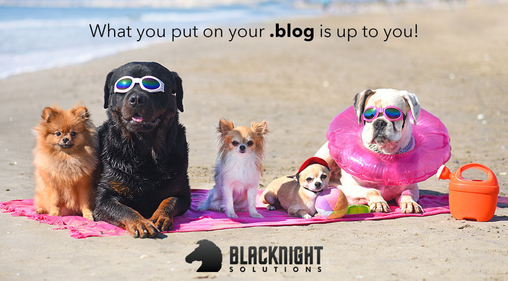 Bundle your .BLOG domain name with a hosting plan and Blacknight will give you back €15* every year! Seriously!