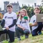 Learn Web-Coding with Blacknight, Live at DojoCon 2018! Blacknight is a sponsor of DojoCon 2018 in Kilkenny!