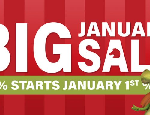 The Big Blacknight Sale Starts January 1st – But We’ve Already Begun!