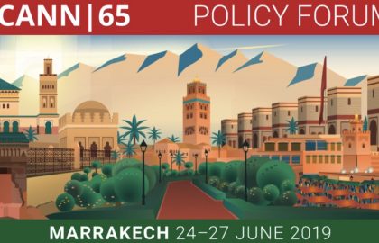 Off to Marrakesh for ICANN 65 cropped-ICANN-65-Marrakech-logo.jpg