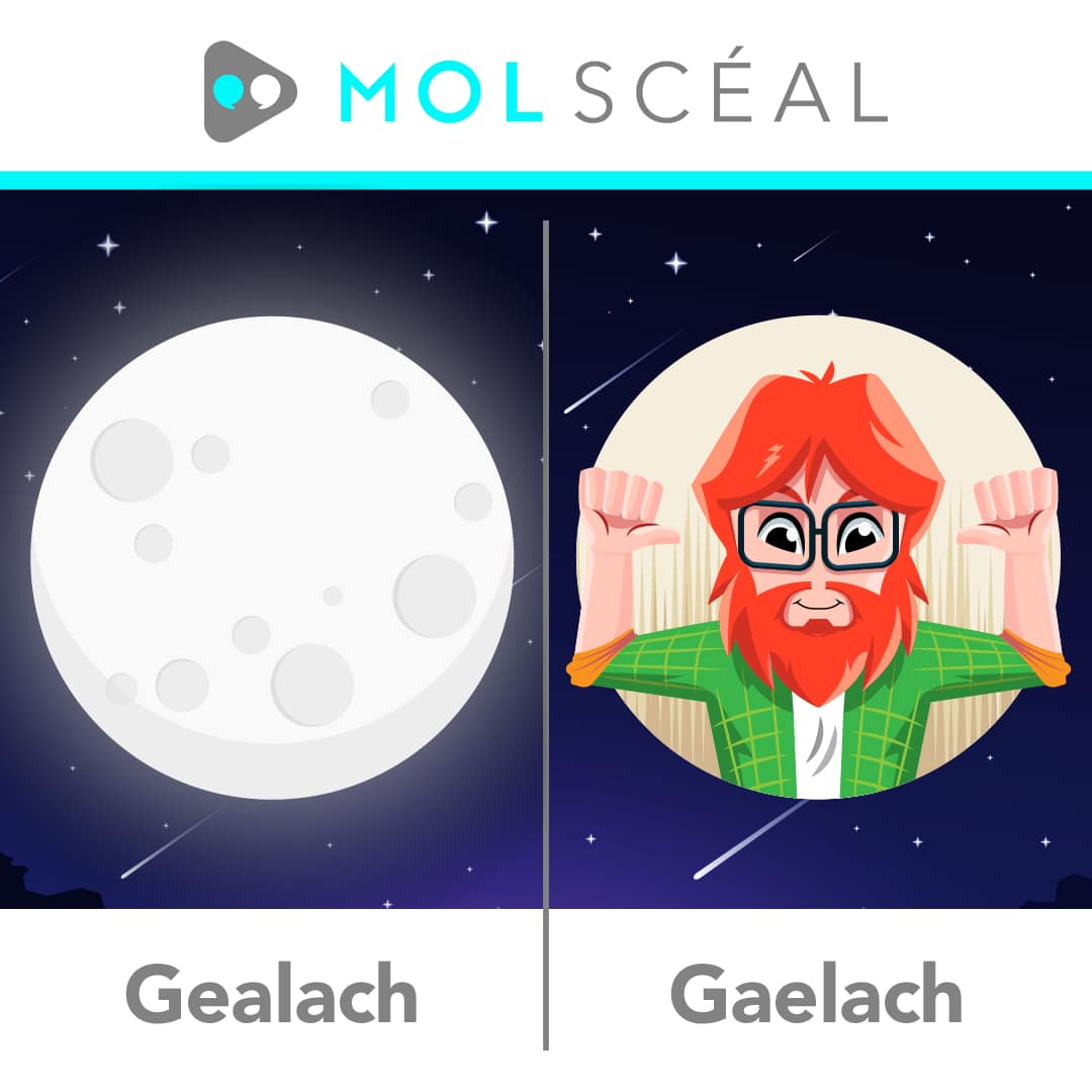 An Ghealach Ghaelach! // Moon Misspelling!