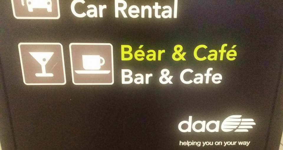 So, This Bear Walks into a Bar …
