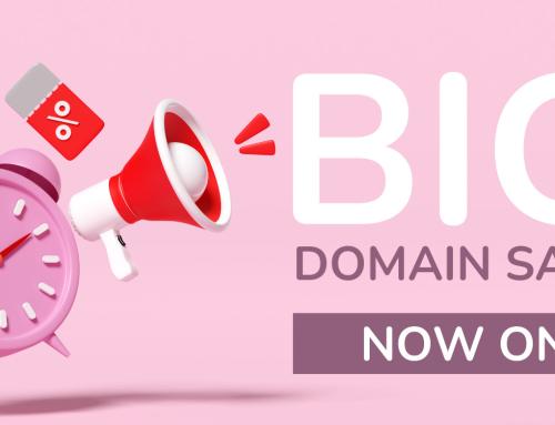 Big Domain Sale Now On