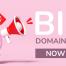 big-domain-sale-now-on