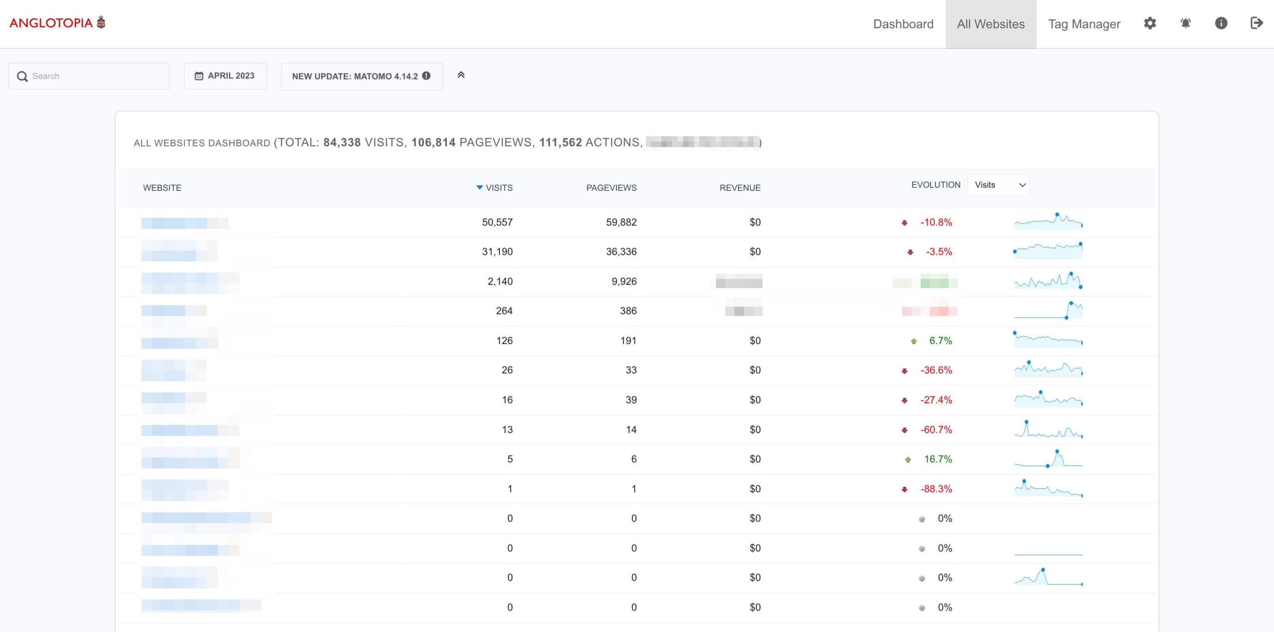 Matomo Analytics Dashboard Example Screenshot