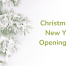 christmas-and-new-years-opening-hours