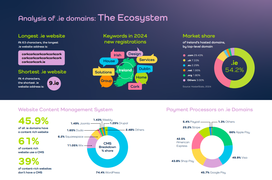 .ie Domain Registrations Show Strong Digital Intent Despite Social Media Surge